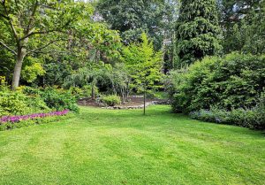 Optimiser l'expérience du jardin à La Forest-Landerneau